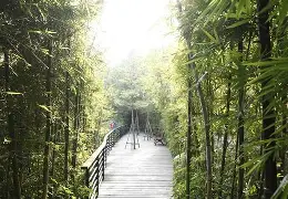 九游体育-瓦伦西亚绿茵场上展现攻守两端实力吗